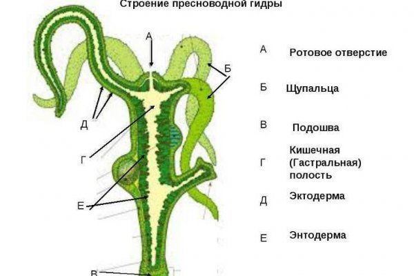 Сайт kraken darknet